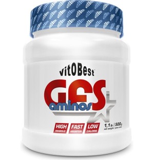 GFS AMINOS VITOBEST 500G