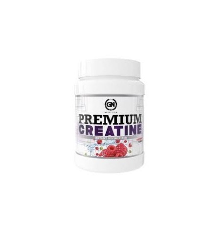 PREMIUM CREATINE 600 G GN